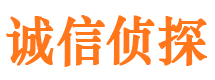 东宝市私人侦探